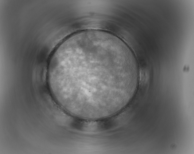 X0000111810301200907231241