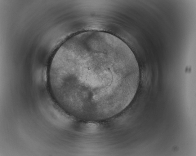 X0000111810302200907231241