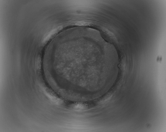 X0000111810303200907231241