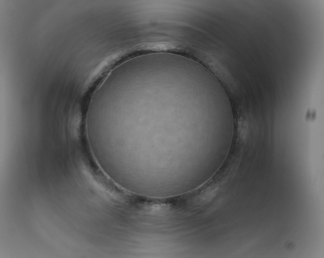X0000111810304200907231241