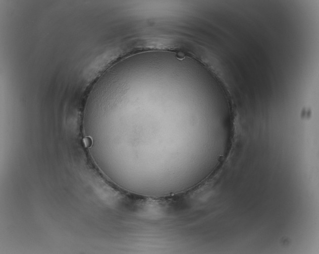 X0000111810305200907231241