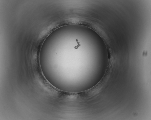 X0000111810306200907231241