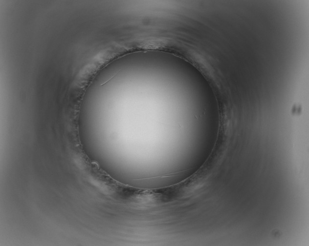 X0000111810307200907231241