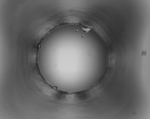 X0000111810309200907231241