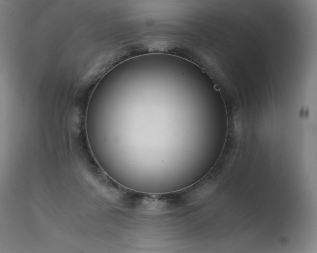 X0000111810311200907231241