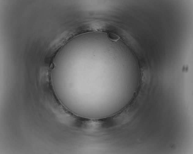 X0000111810313200907231241