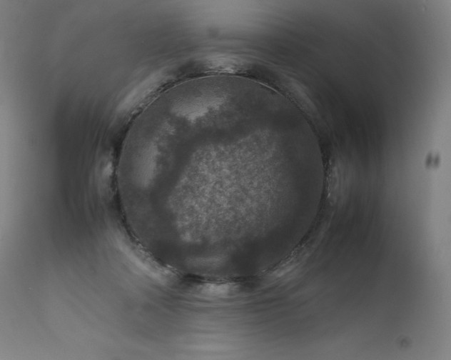 X0000111810314200907231241