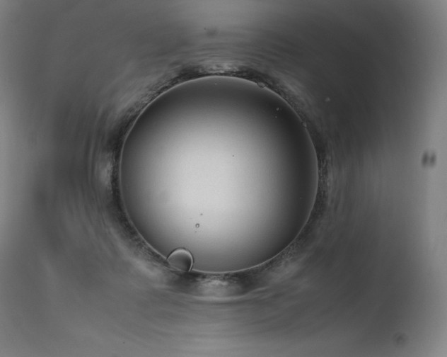 X0000111810315200907231241