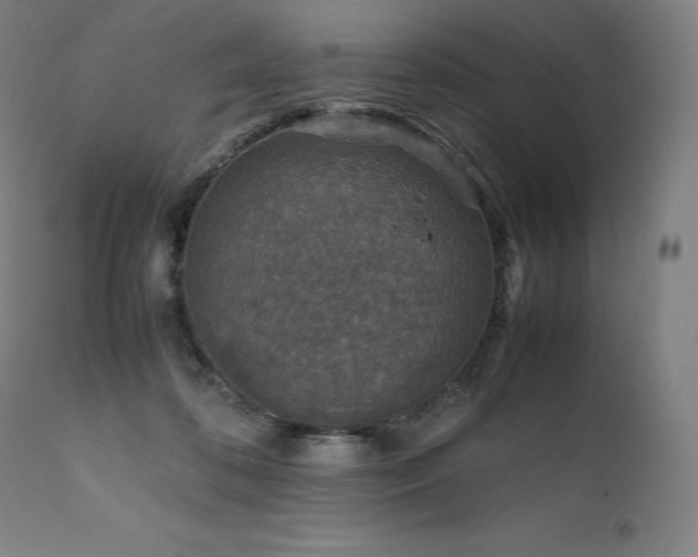 X0000111810316200907231240