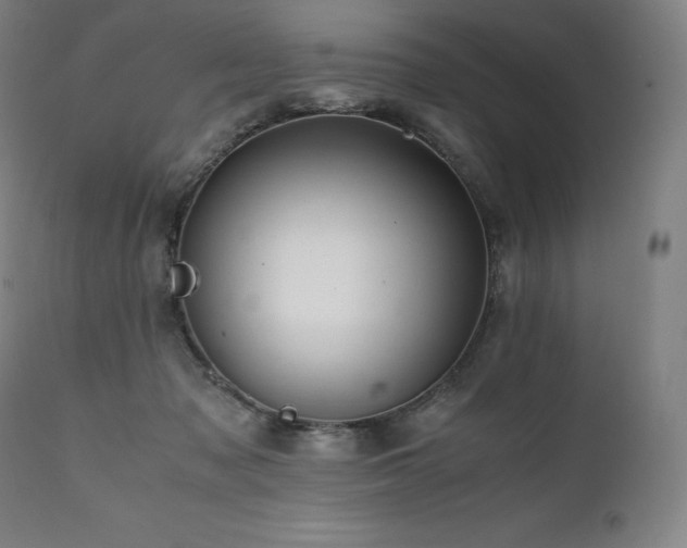 X0000111810317200907231240