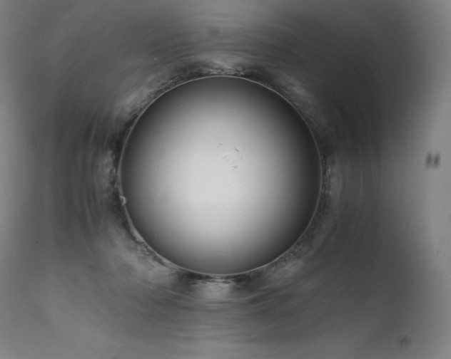 X0000111810318200907231240