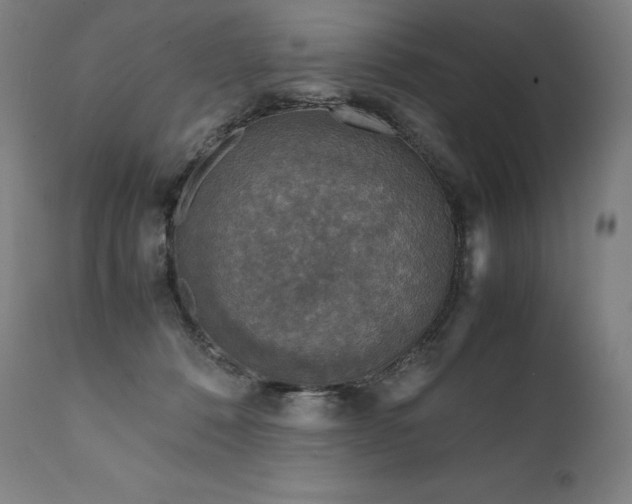 X0000111810320200907231240