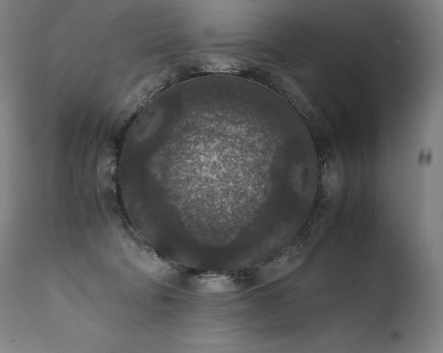 X0000111810322200907231240