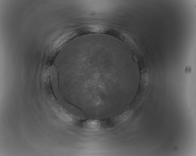 X0000111810325200907231240