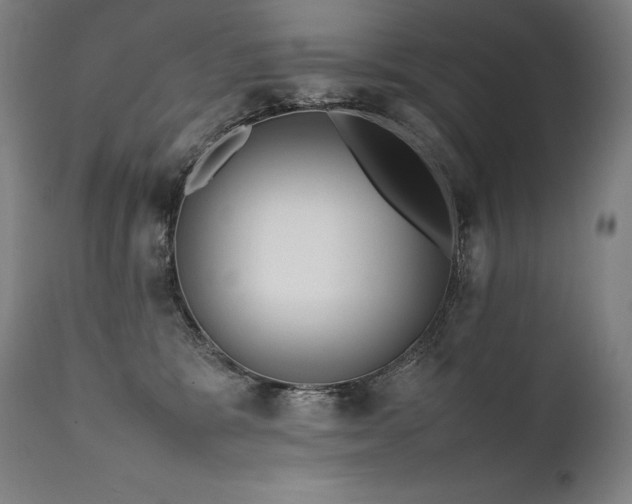 X0000111810327200907231240