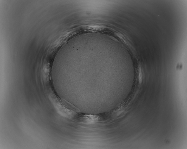 X0000111810328200907231240