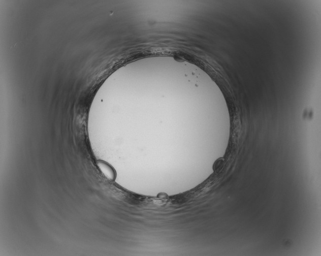 X0000111810329200907231240
