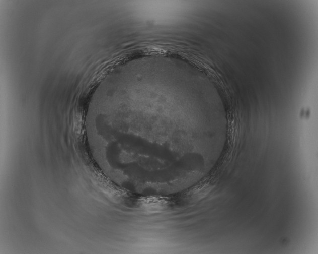 X0000111810331200907231240
