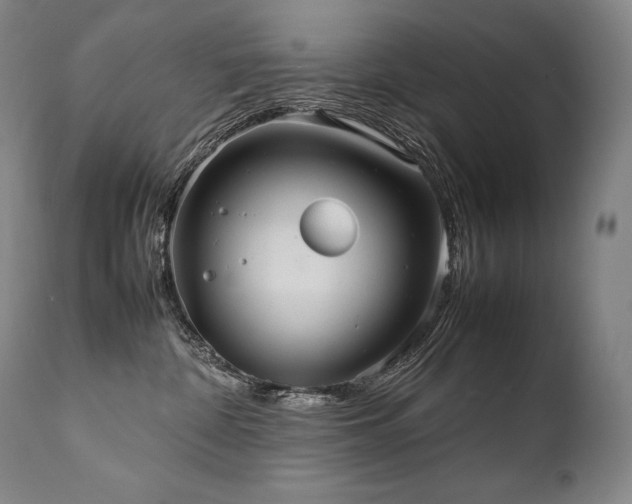X0000111810332200907231240