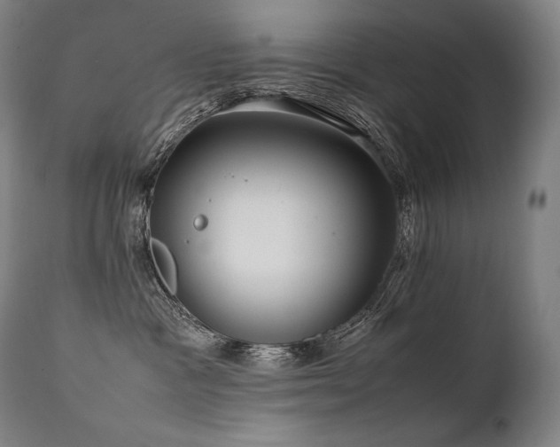 X0000111810333200907231240