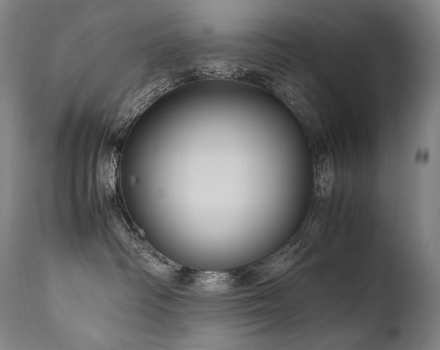 X0000111810334200907231240
