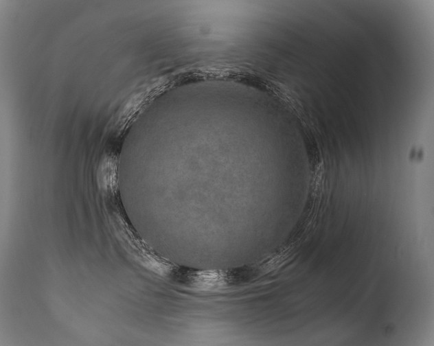 X0000111810335200907231240
