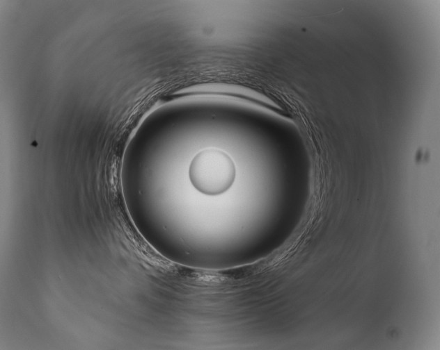 X0000111810336200907231240