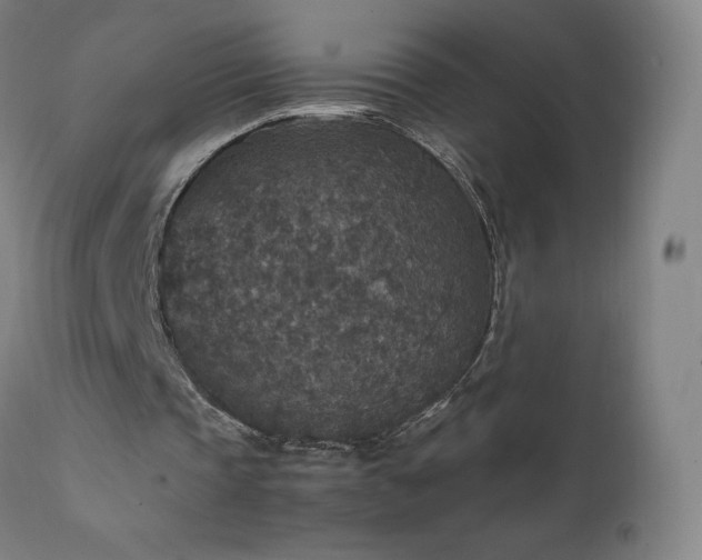 X0000111810337200907231239