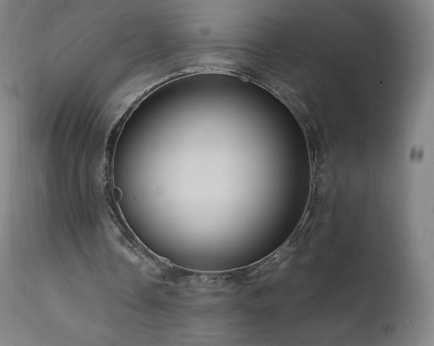 X0000111810338200907231239