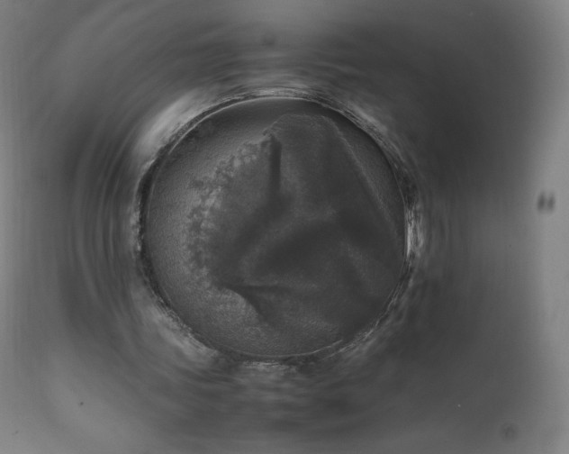 X0000111810339200907231239