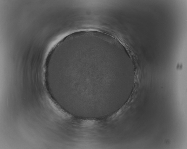 X0000111810342200907231239