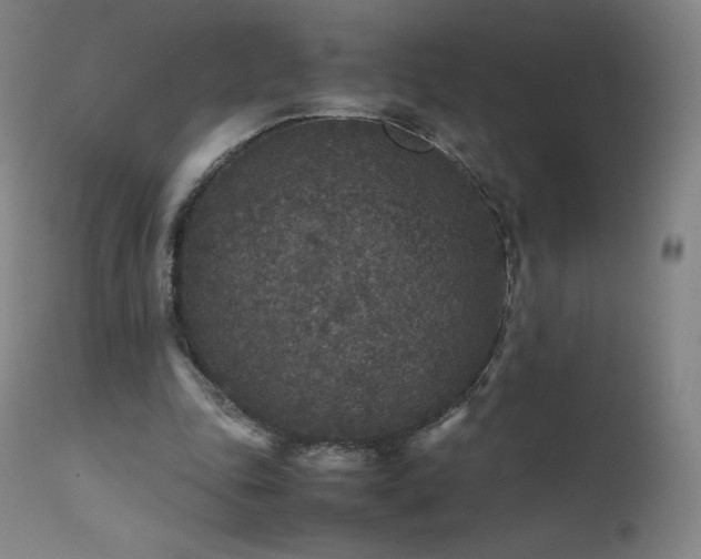 X0000111810343200907231239