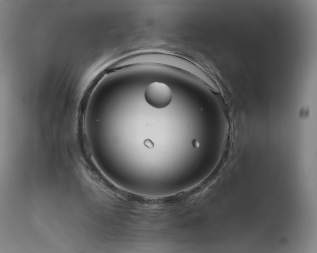 X0000111810344200907231239