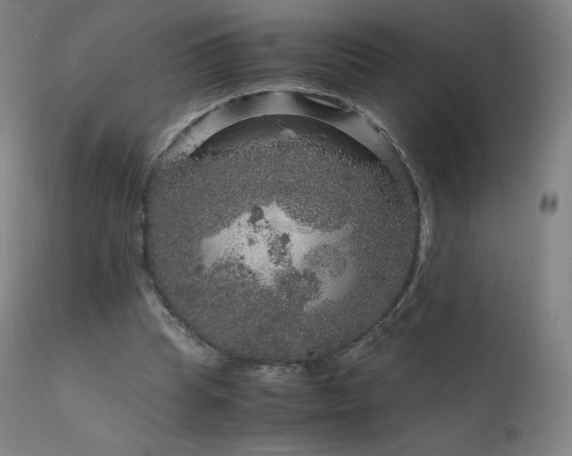 X0000111810345200907231239