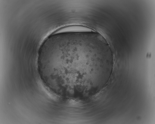 X0000111810346200907231239