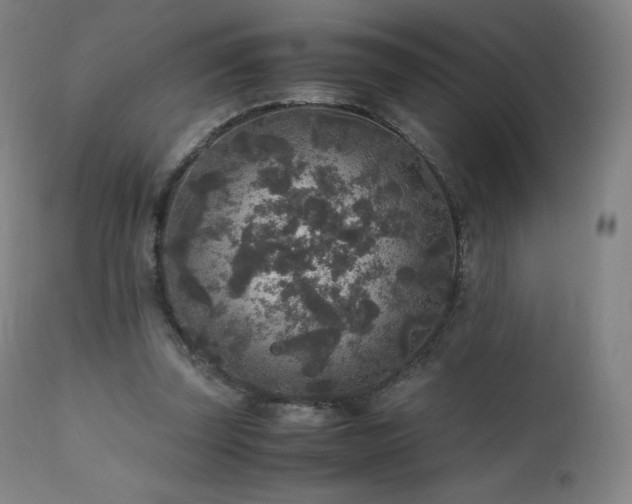 X0000111810347200907231239
