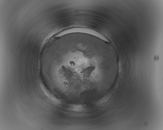 X0000111810349200907231239