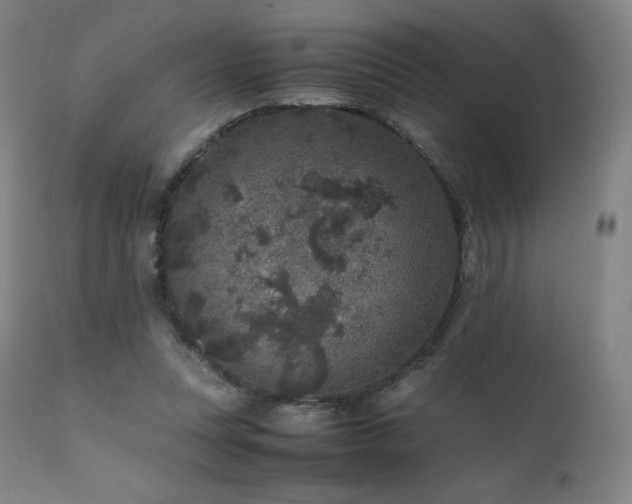 X0000111810351200907231239