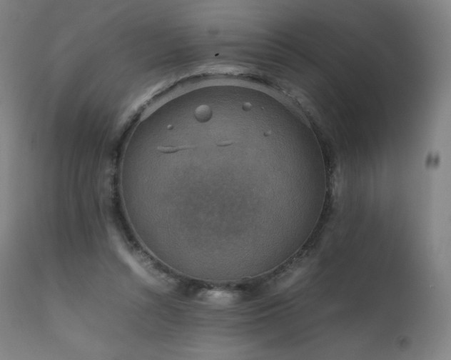 X0000111810352200907231239