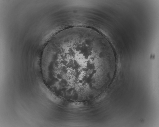 X0000111810353200907231239