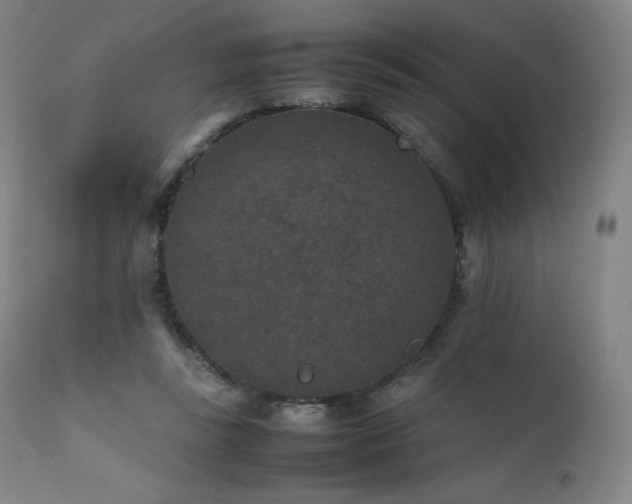 X0000111810355200907231239