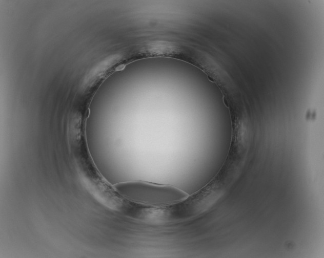 X0000111810356200907231239