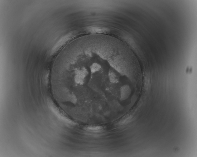 X0000111810357200907231240