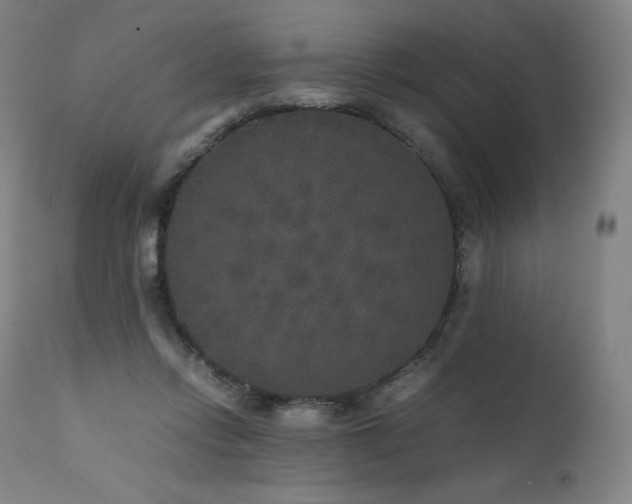X0000111810358200907231240