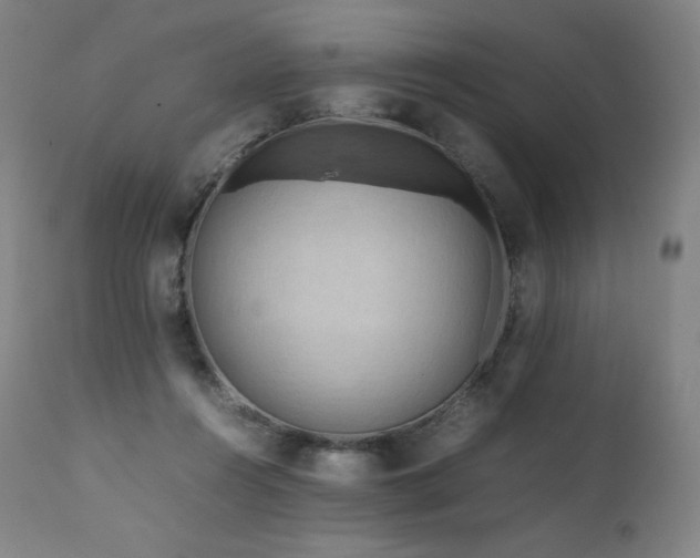 X0000111810360200907231240