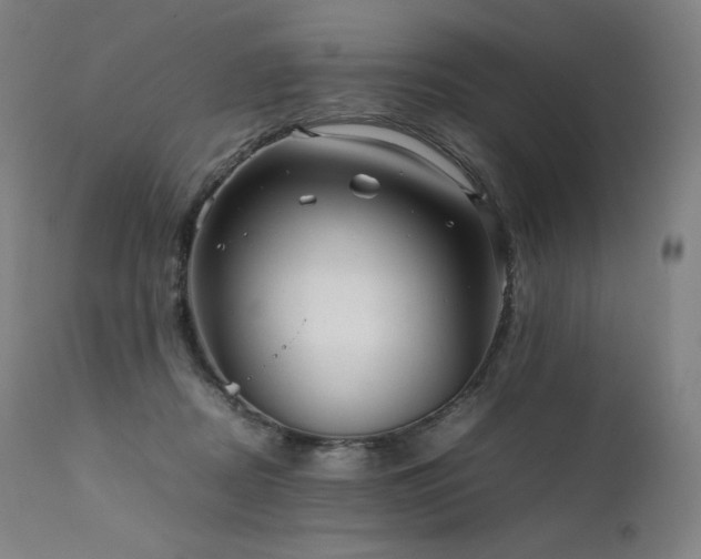 X0000111810362200907231240