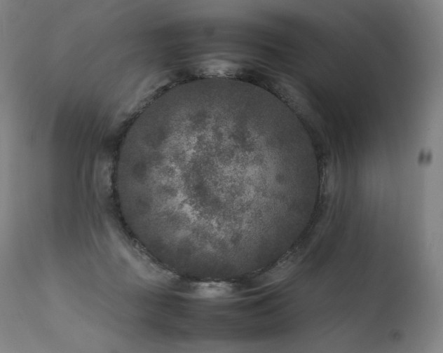 X0000111810363200907231240