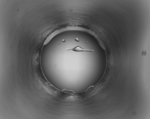 X0000111810364200907231240
