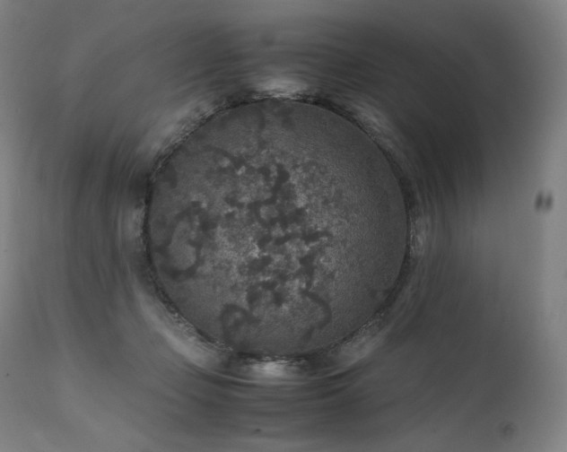 X0000111810365200907231240
