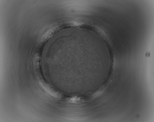 X0000111810366200907231240
